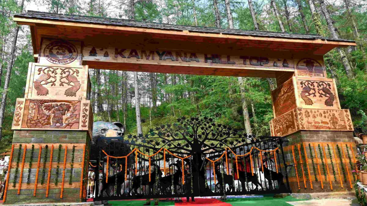 Kamiyana Hill Top Nature Trail in Shimla