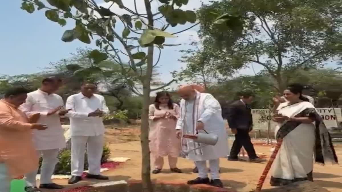 केंद्रीय गृह मंत्री अमित शाह ने किया वृक्षारोपण