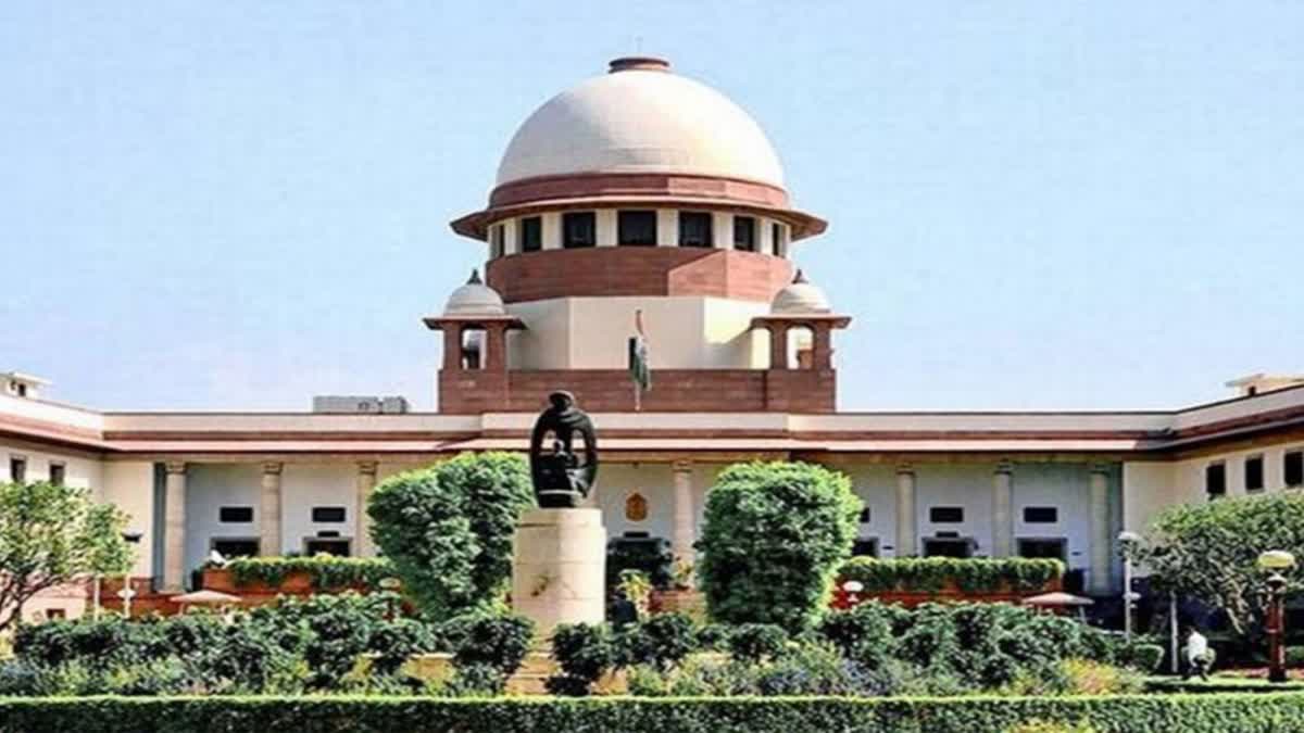 SC ON KARUR STAMPEDE CASE  SC REJECTS DMK LEADERS PLEA  DMK LEADERS PLEA AGAINST TVK  SC ON TAMIL NADU POLITICS