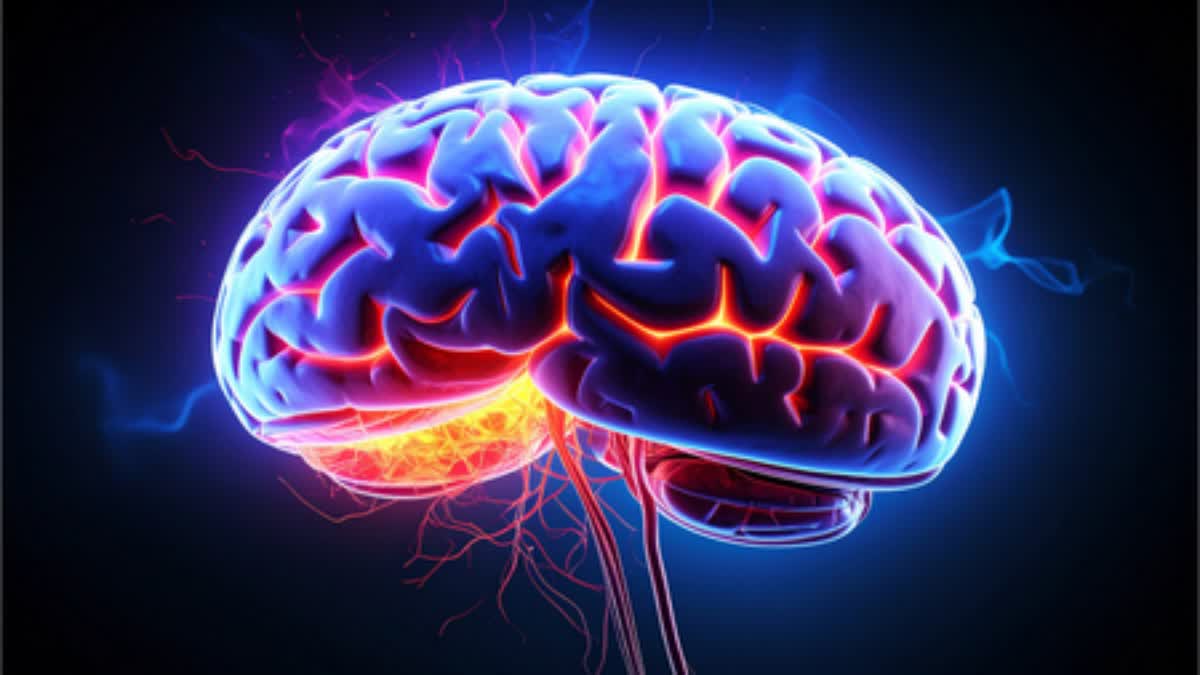 ALZHEIMERS  HEART DYSFUNCTION  ALZHEIMERS TREATMENT  HEART DYSFUNCTION RESEARCH