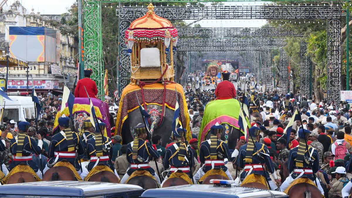 A file photo of elephants at the Mysuru Dasara celebrations.