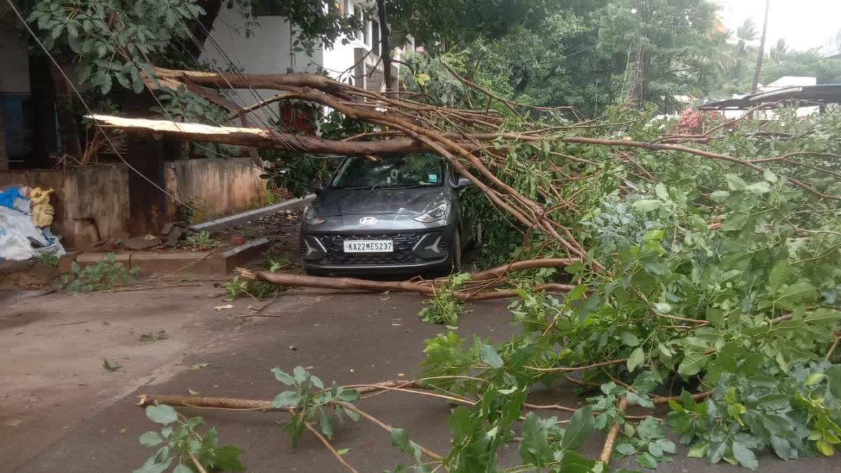 Holiday declared for schools in Belagavi,  Khanapur and Nippani taluk tomorrow due to continued rain