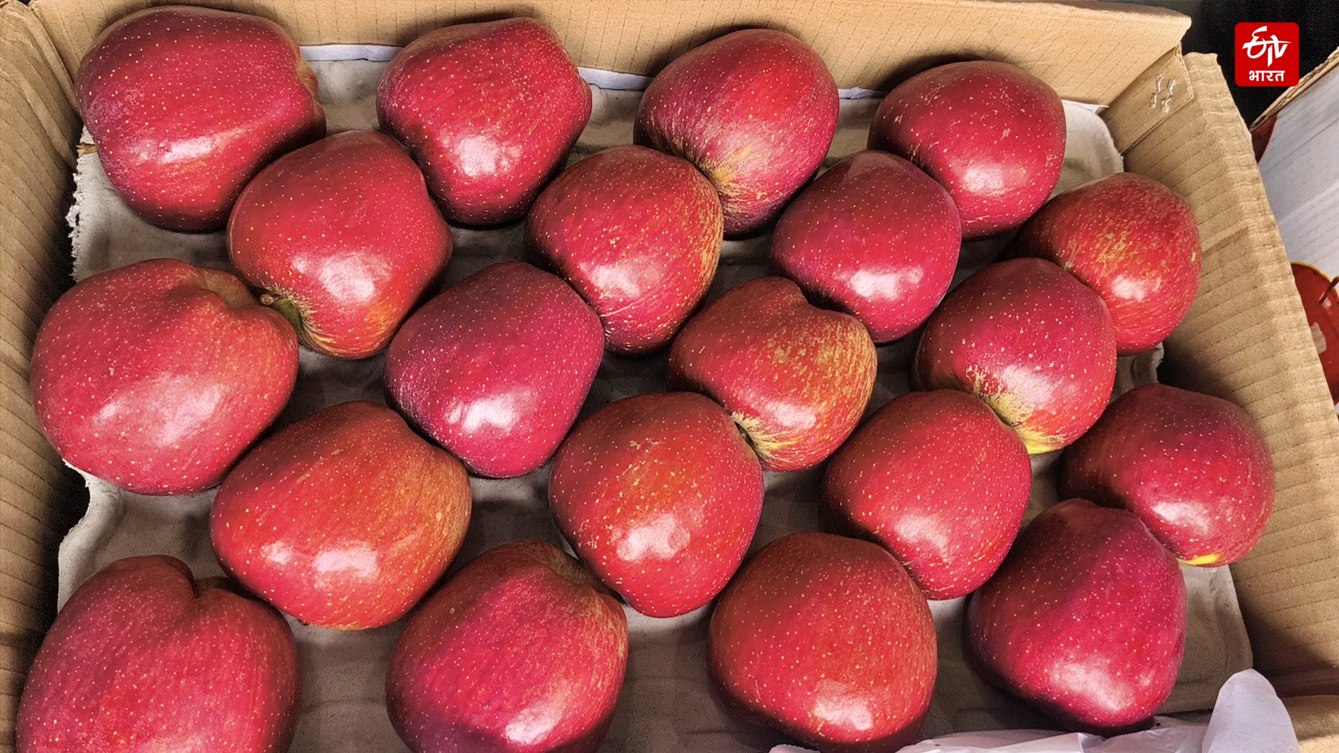 HIMACHAL APPLE PRODUCTION