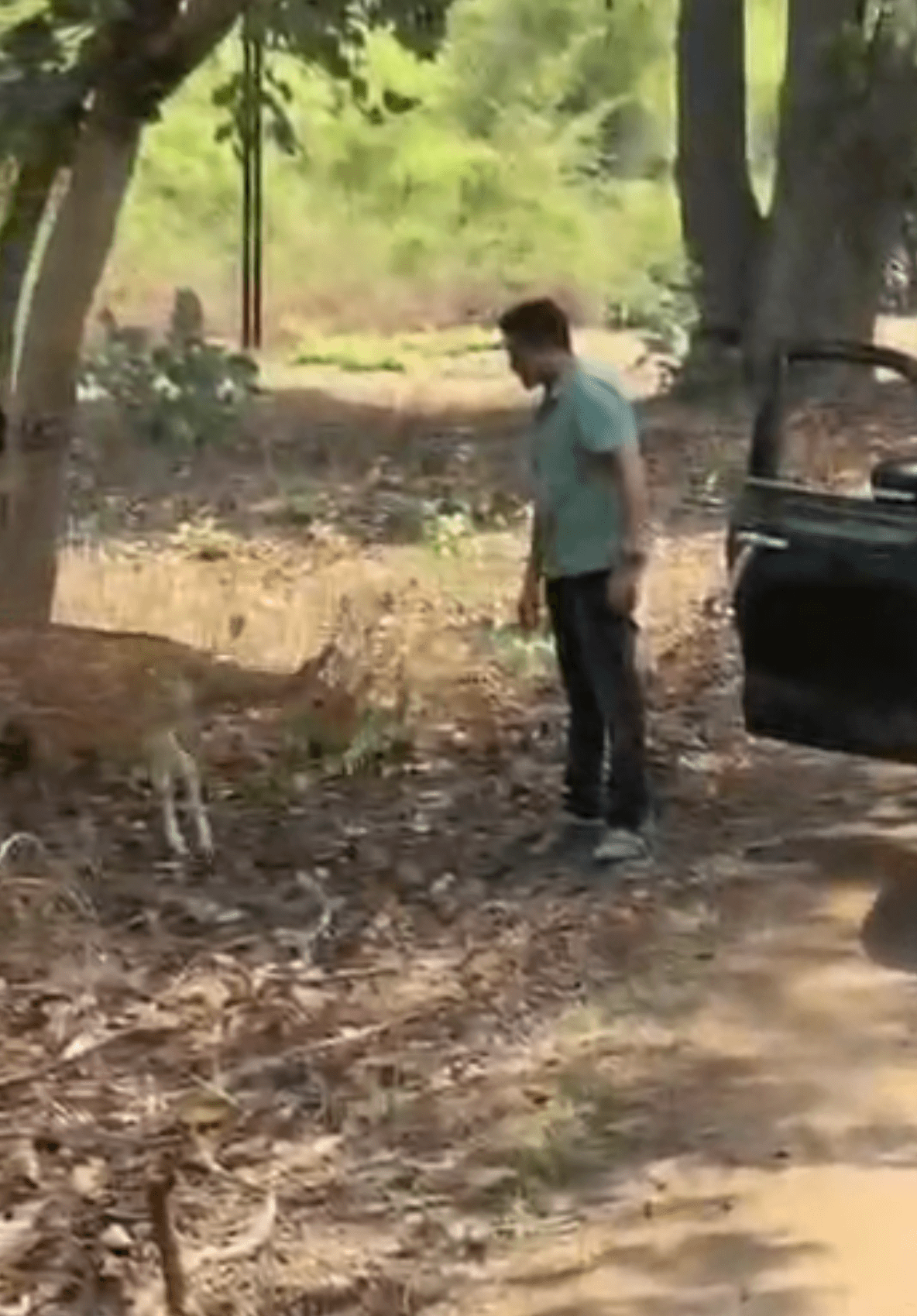 UMARIA BANDHAVGARH TIGER RESERVE