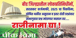 Beed Banner News