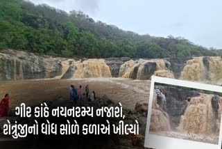શેત્રુંજી નદી પરના ધોધનો નયનરમ્ય નજારો