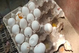 ANNAPURNA YOJANA LATEST NEWS