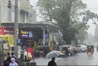 Rains