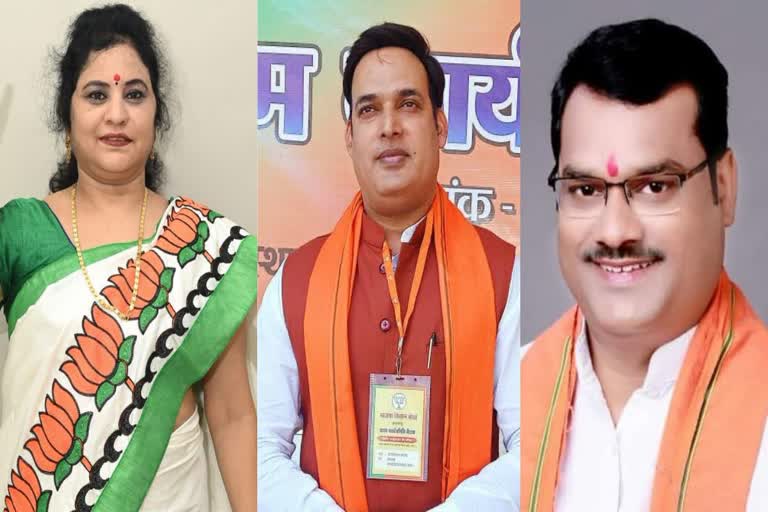 छत्तीसगढ़ के निगम मंडलों और आयोगों में नियुक्ति, ममता साहू बनी राज्य महिला  आयोग की अध्यक्ष, साय सरकार का फैसला