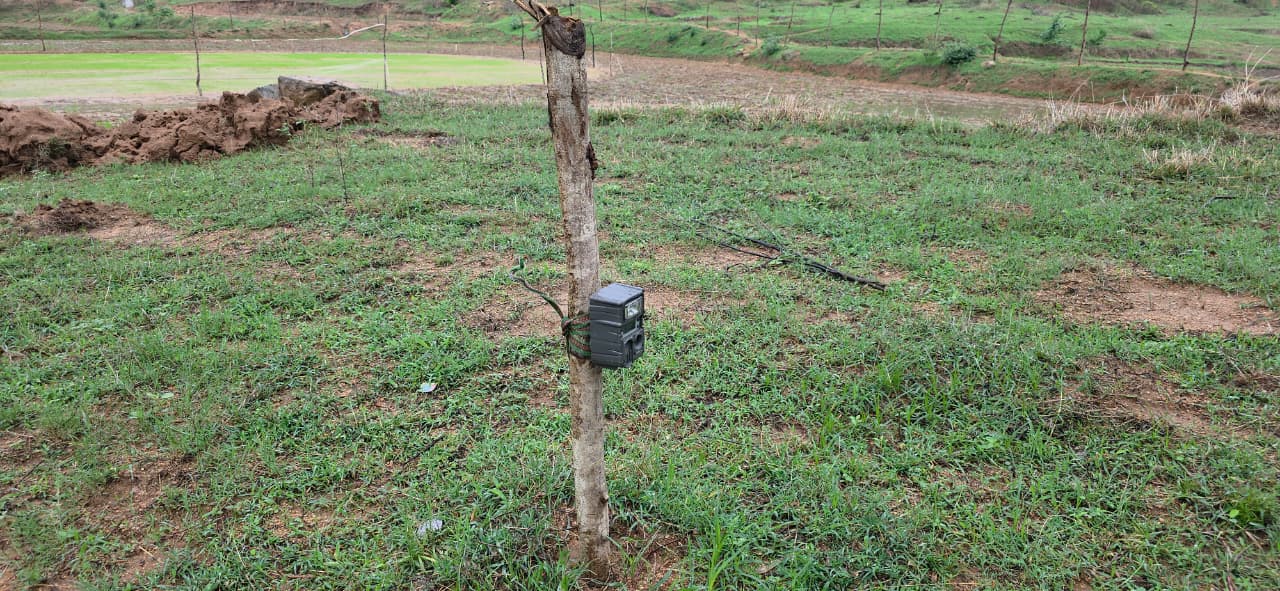Forest Department on alert