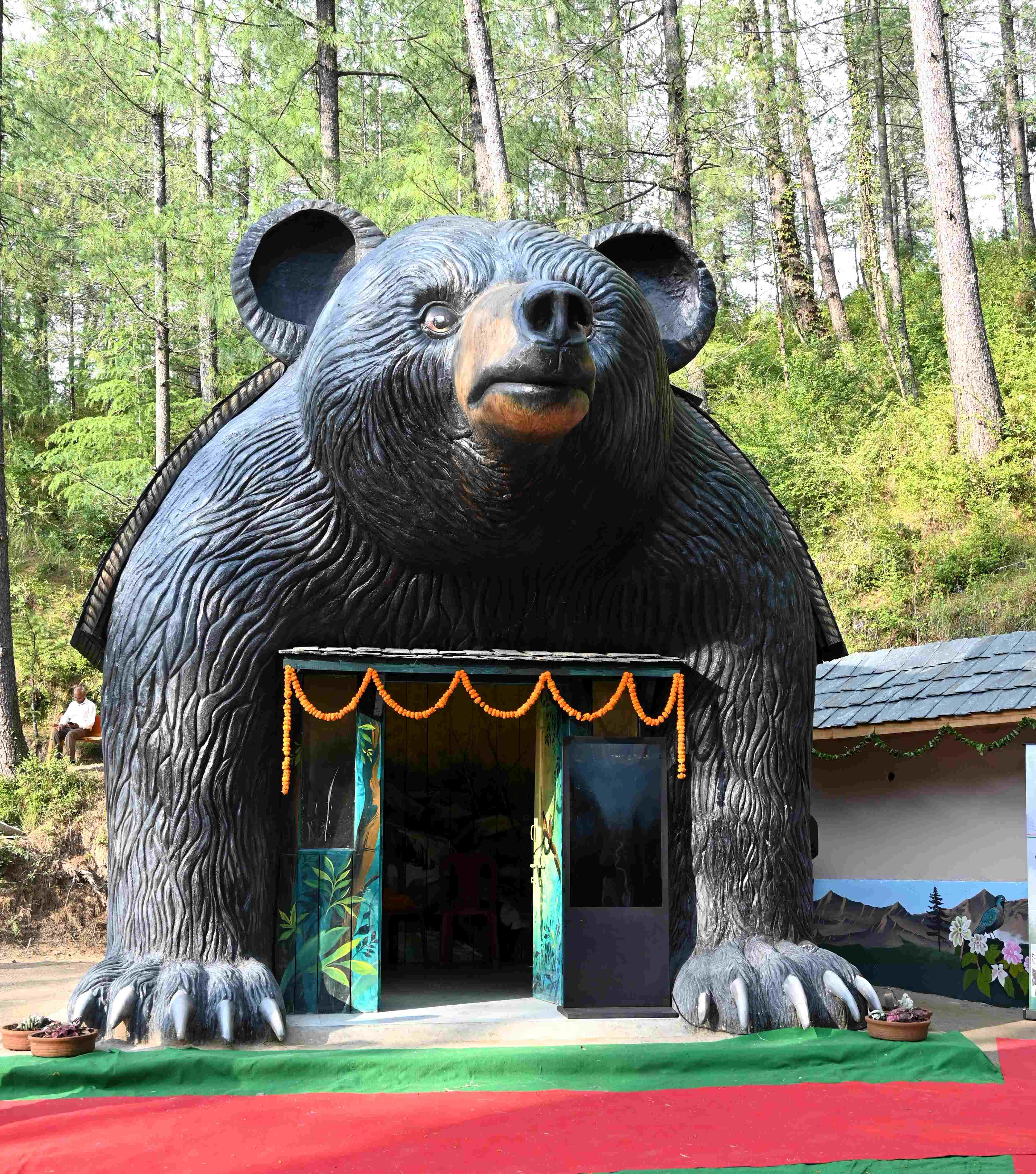 Kamiyana Hill Top Nature Trail in Shimla