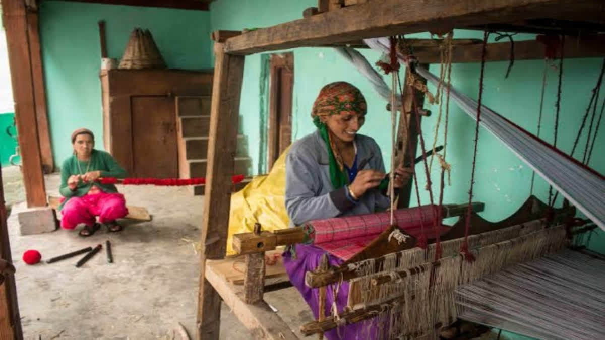 National Handloom Day 2025: How Himachal’s Sharan Village Weaves, Upholds Legacy And Ensures Livelihood National Handloom Day 2025: How Himachal’s Sharan Village Weaves, Upholds Legacy And Ensures Livelihood