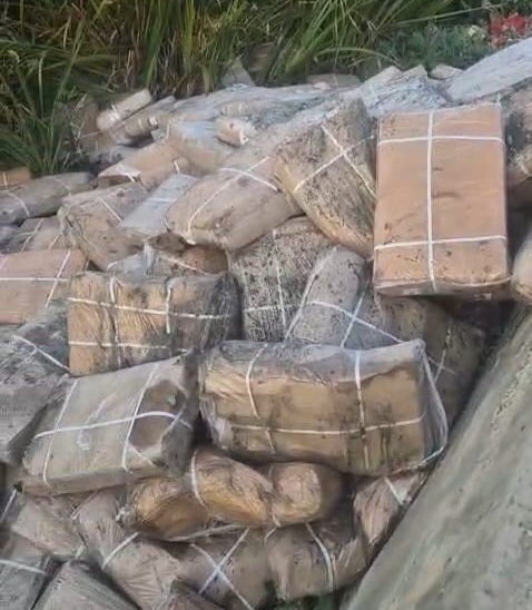 A consignment of rotten meat seized in Srinagar, Jammu and Kashmir