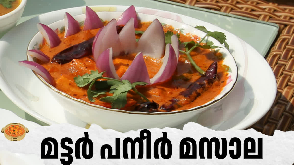 മട്ടർ പനീർ മസാല  MUTTER PANEER MASALA  BREAKFAST AND LUNCH PANEER CURRY  EASY PANEER CURRY RECIPE