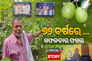 PADANA NAYAK GUAVA FARMING