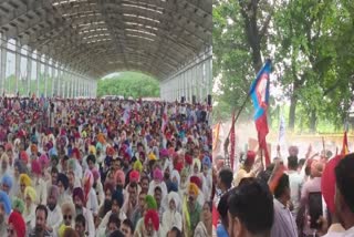 Punjab government employees hold massive rally in Chandigarh