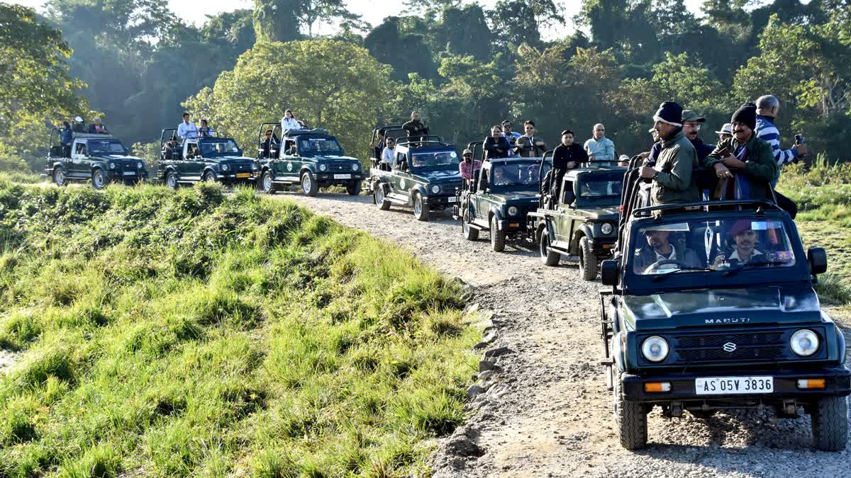 Delegates of 12th International Tourism Mart for Northeast region on a safari at Kaziranga National Park & Tiger Reserve, in Golaghat