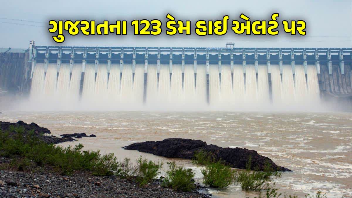 સરદાર સરોવર ડેમની તસવીર