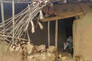 A muddy house damaged by a wild tusker in Chhattisgarh village