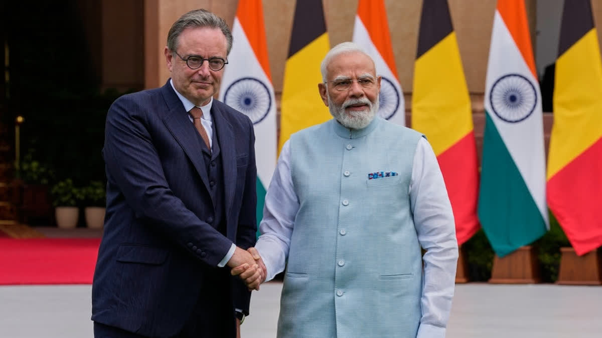 चीनकडून मिळालेल्या 'कडू धड्यानंतर' युरोप भारताकडे का वळत आहे?