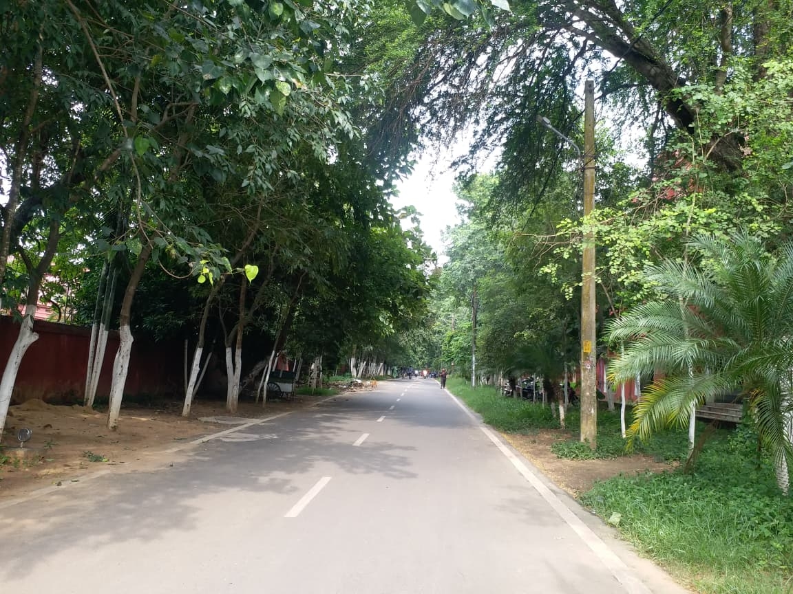 Painting Campuses Green: Ravenshaw University In Cuttack Plans Solar Panels, Vehicle-Free Saturdays