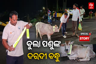 Kendrapara Youths Protect Stray Cattle radium Belts to Prevent Highway Accidents