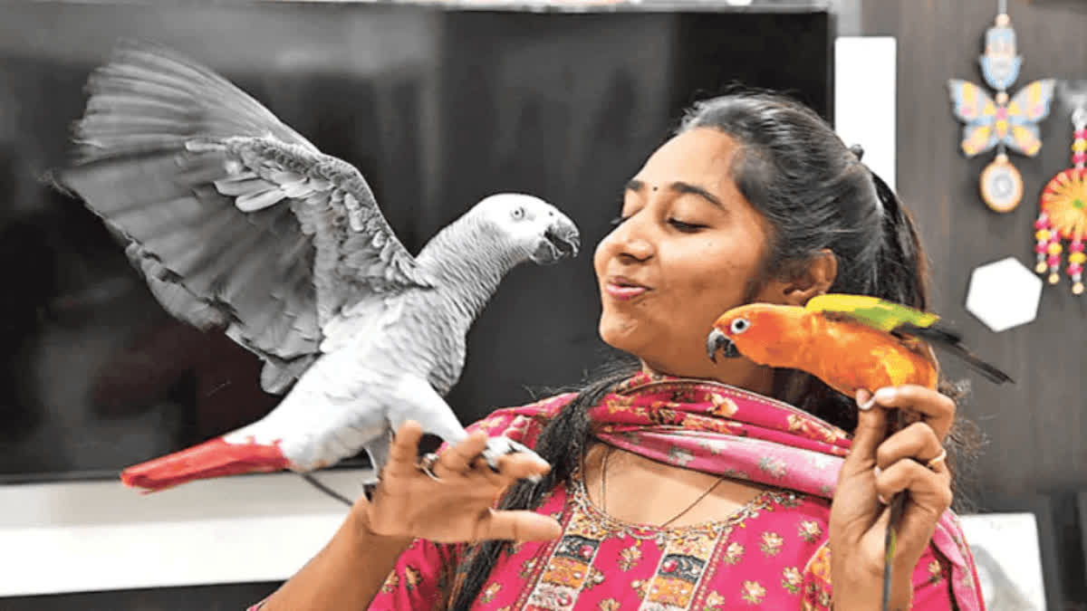 'They Call Me 'Amma' and Lean on Me, a Khammam woman shares a unique bond with birds and dogs