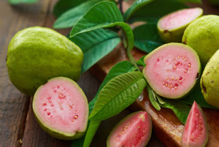 PINK GUAVAS FOR HEALTH