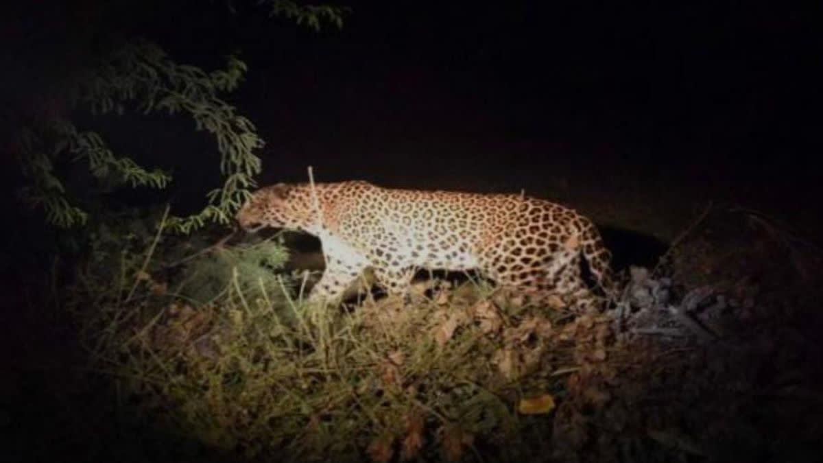 Manendragarh Chirmiri Bharatpur Panic