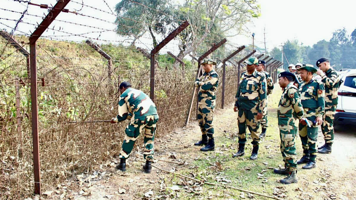 Villagers Turn Vigilante Along India-Bangladesh Border