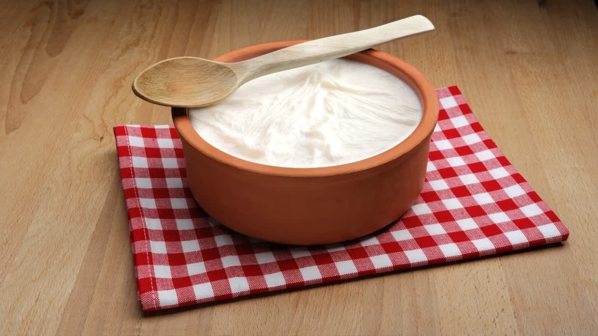 Palli Karam Perugu Pachadi