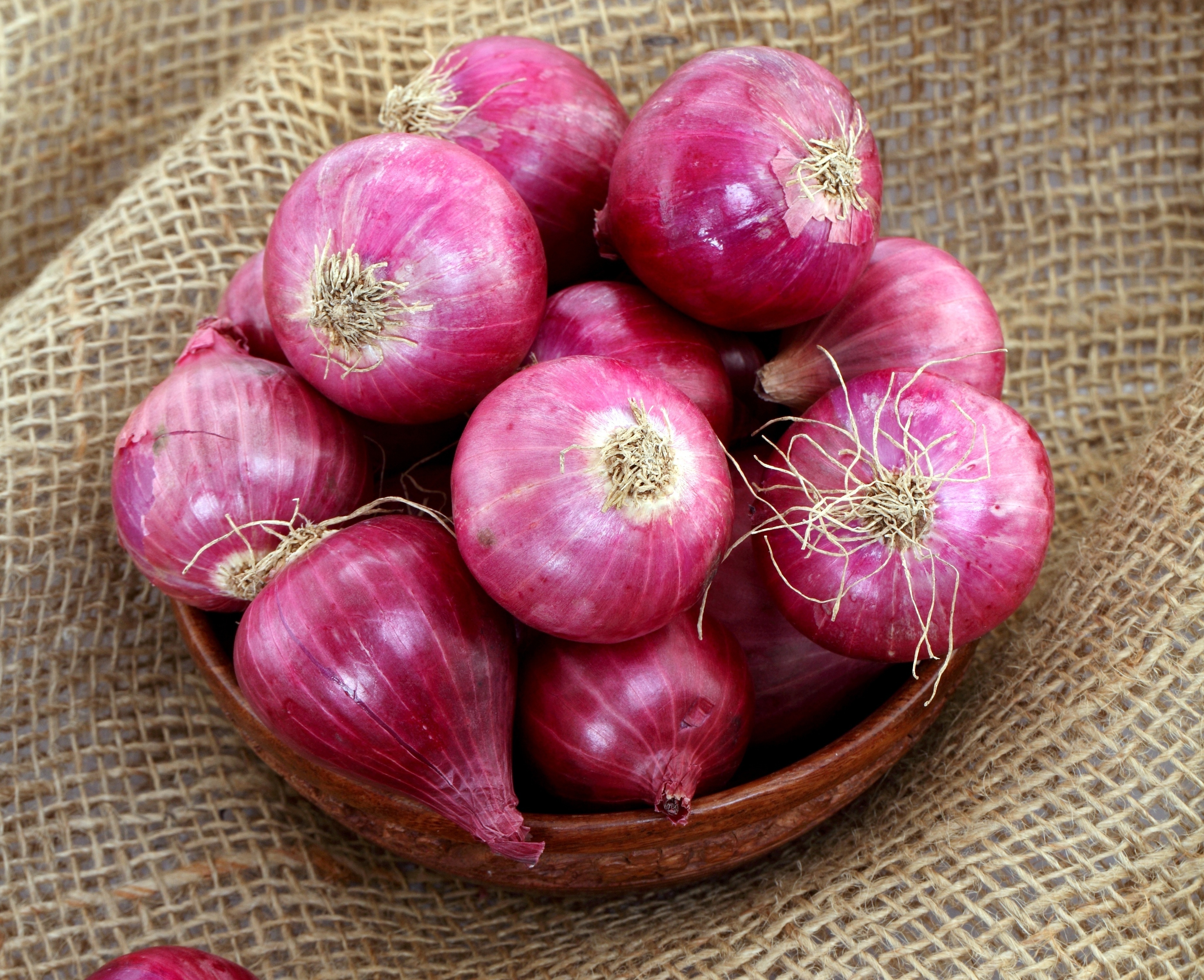 Palli Karam Perugu Pachadi