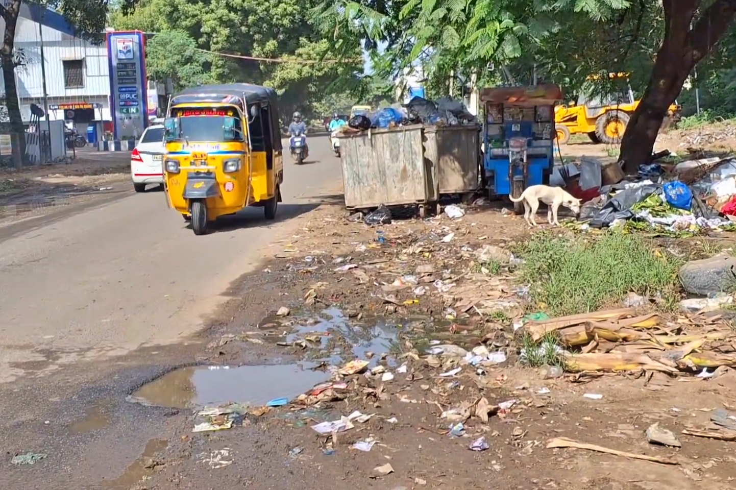சாலையில் கொட்டப்பட்டிருக்கும் குப்பையில் உணவு தேடும் தெருநாய்கள்.