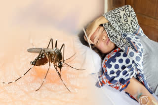 Dengue  Chikungunya  Dengue cases increase  ಡೆಂಗ್ಯೂ ಮತ್ತು ಚಿಕೂನ್‌ಗುನ್ಯಾ
