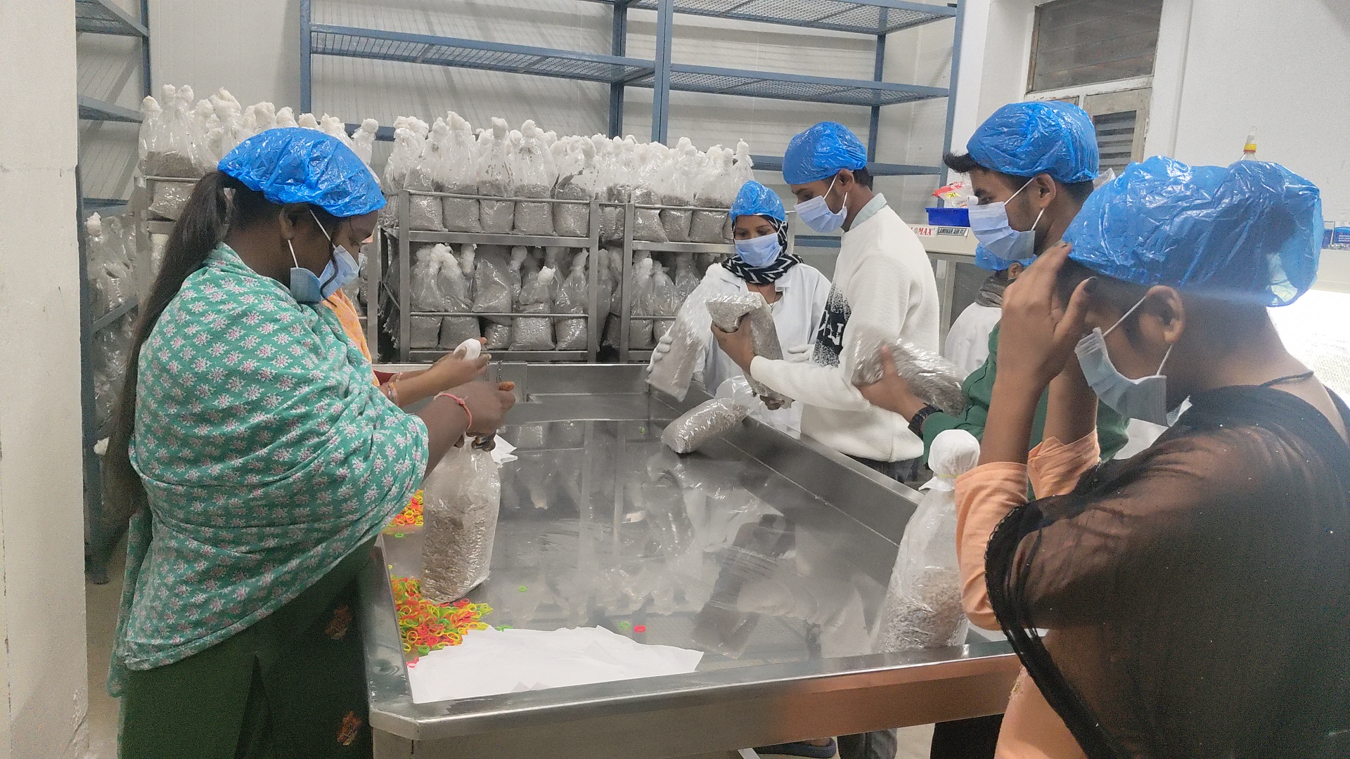 Mushroom Farming Success Story