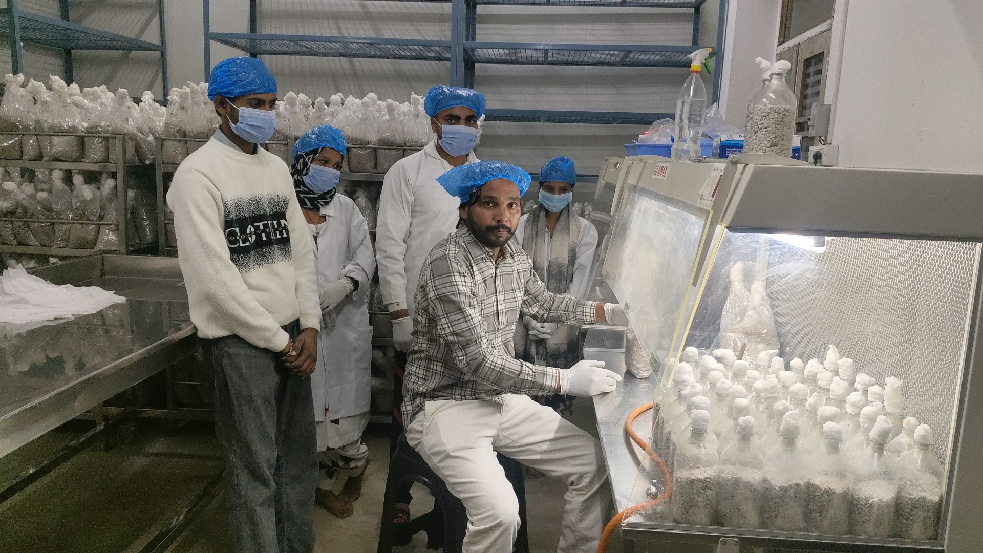 Mushroom Farming Success Story