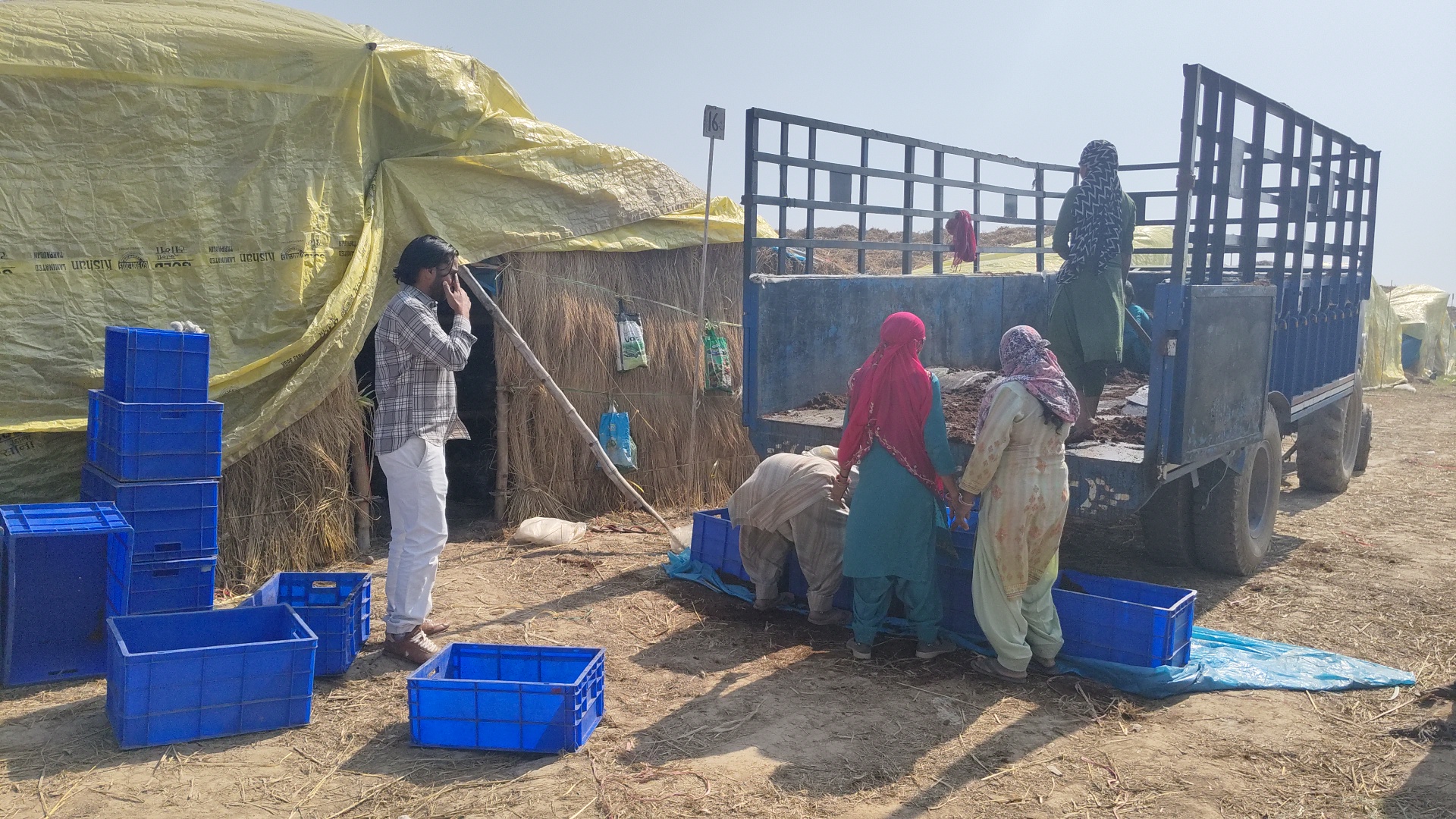 Mushroom Farming Success Story