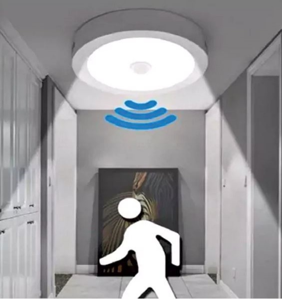 Interior Design and Room for Elders