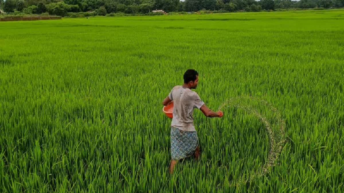 Farmers Embrace Stubble Mixing & Direct Seeding For Better Stubble Management