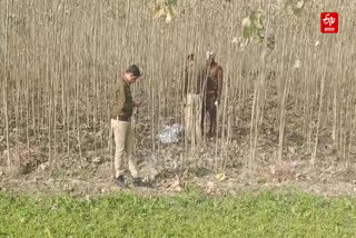 Headless body of a young woman was found near Bahadurpur Gurudwara in Yamunanagar