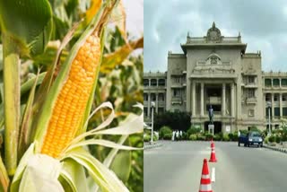 vidhanasoudha