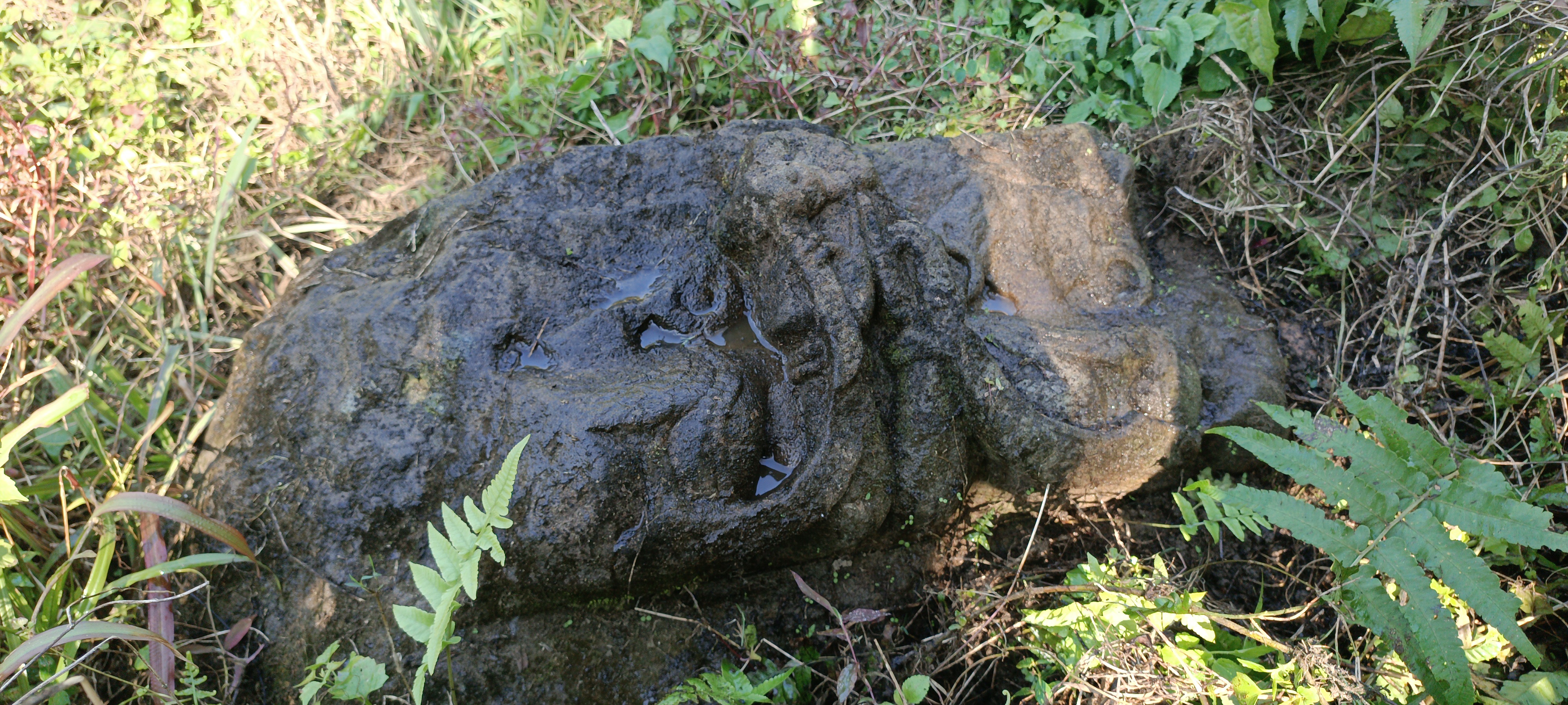 historic material found in Lakhimpur