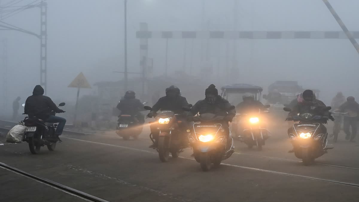 Winter Morning in Bengal