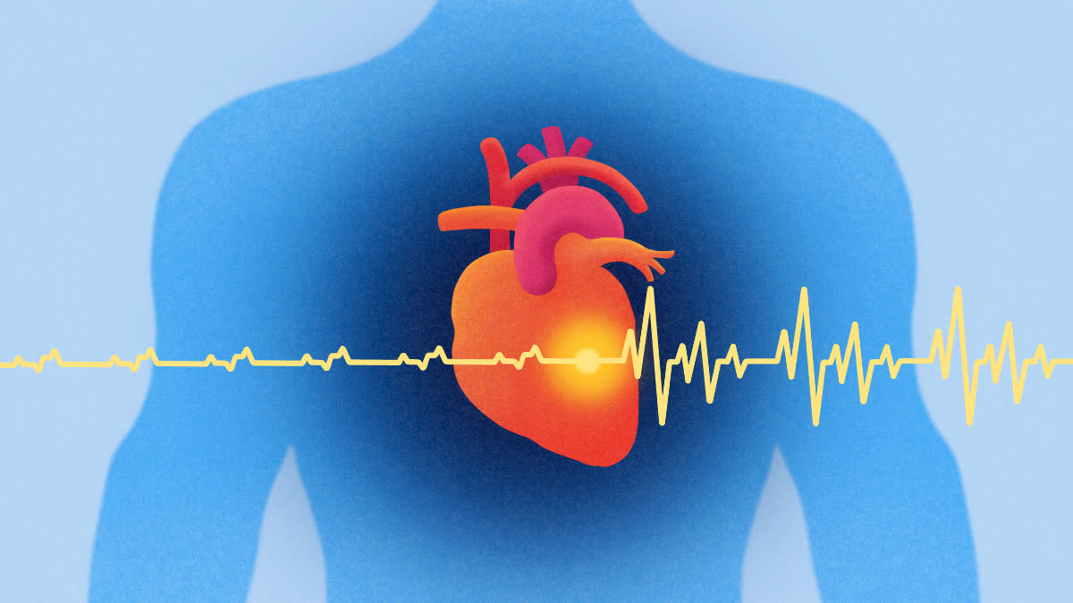 HOW TO KNOW HEALTHY HEART