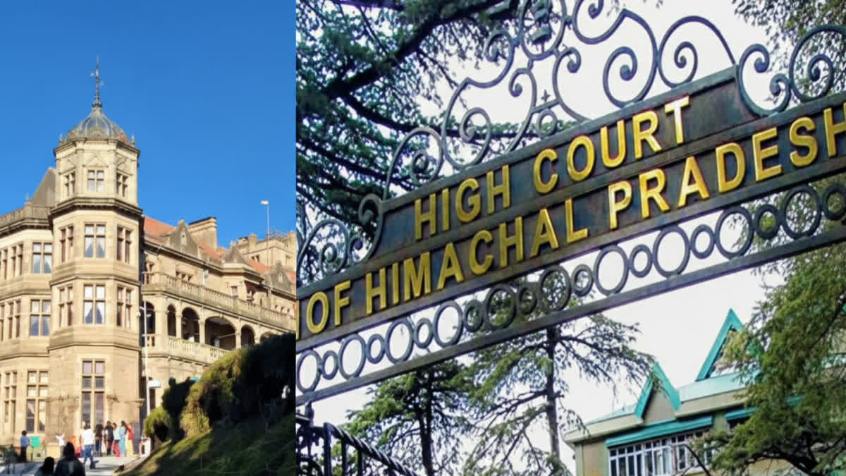 Himachal Court