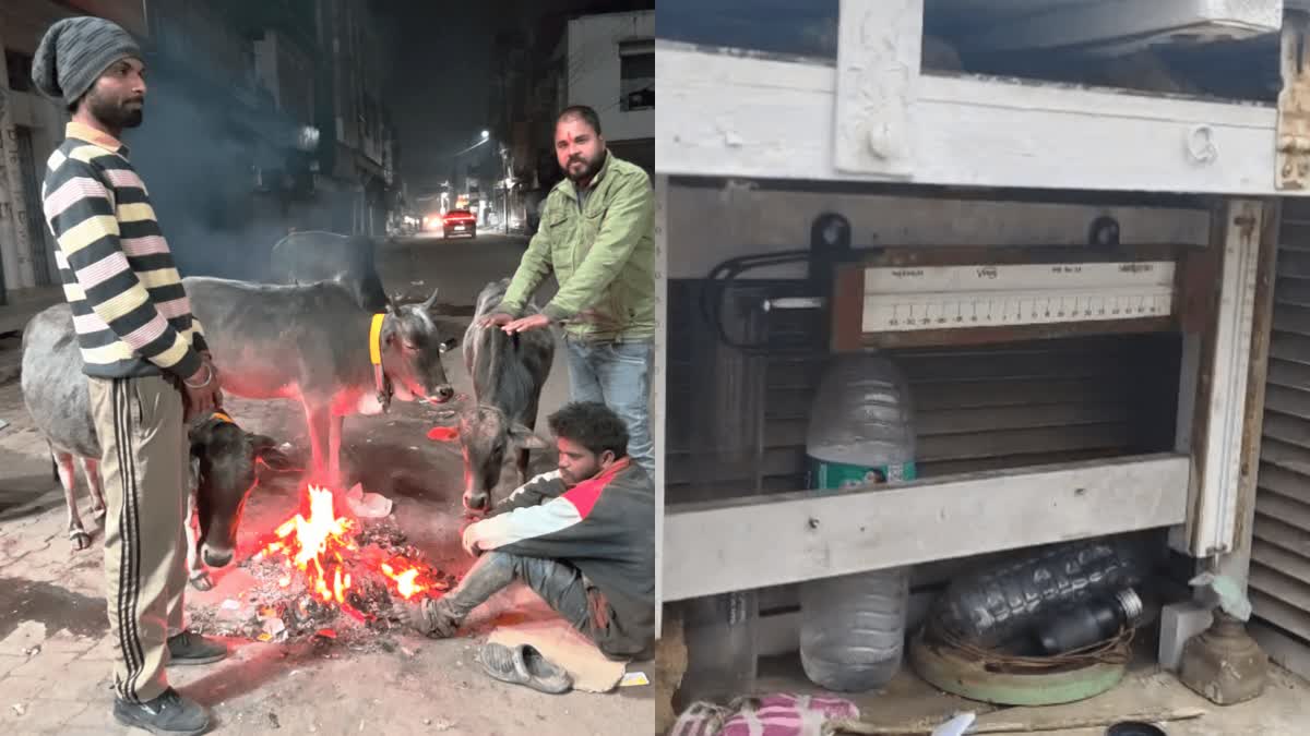 SEVERE COLD IN NAUGAON