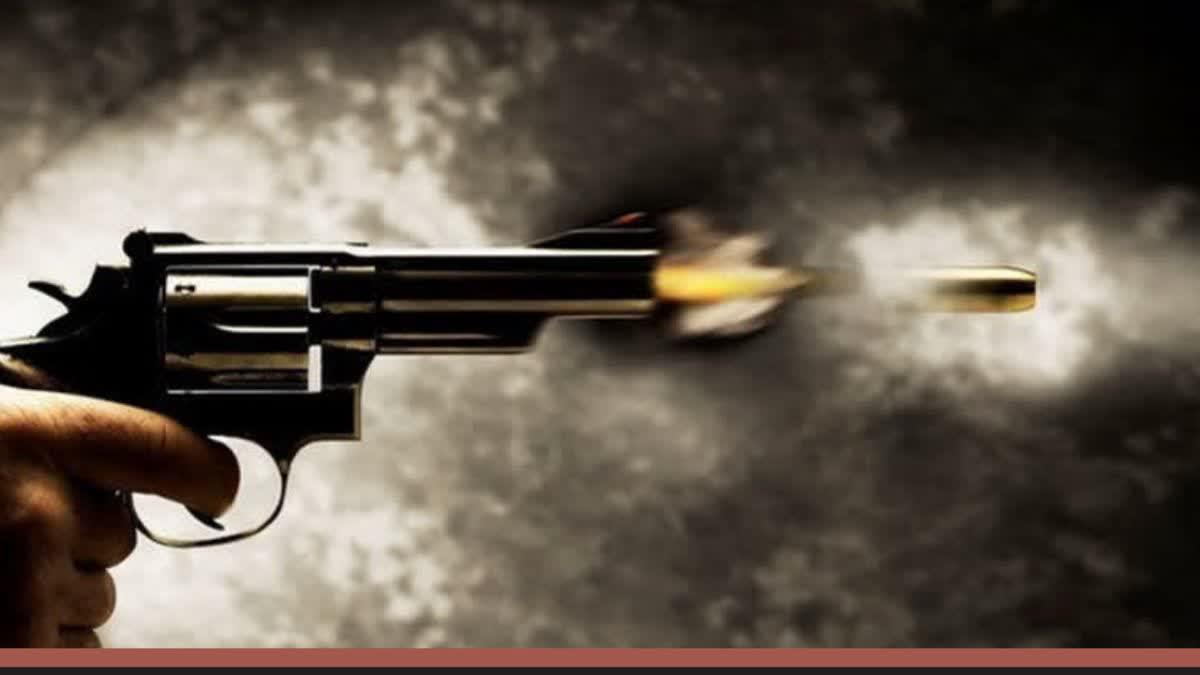 US ICE AGENT KILLS WOMAN