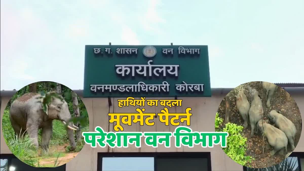 BIG CHANGE IN MOVEMENT OF ELEPHANTS