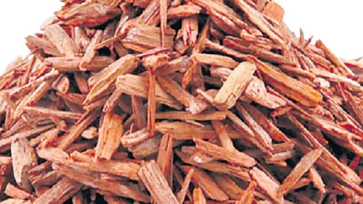 E AUCTION FOR BYPRODUCTS RED SANDAL