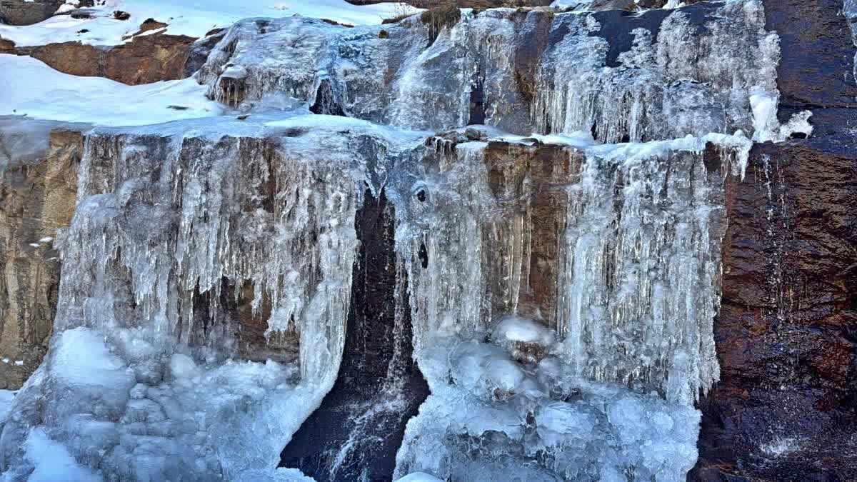 Himachal Cold Wave Alert